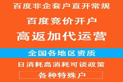 百度SEO推广公司案例解析：实战优化技巧全解读